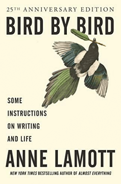 cover image of Bird by Bird