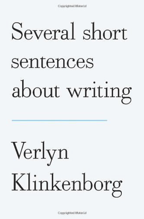 cover image of Several Short Sentences About Writing